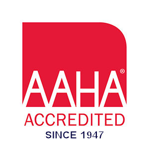 Accredited_NoTag_Color_web