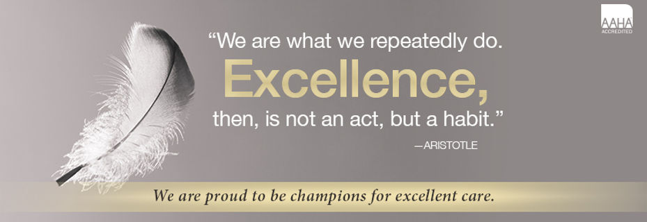 COVER_AAHAExcellence