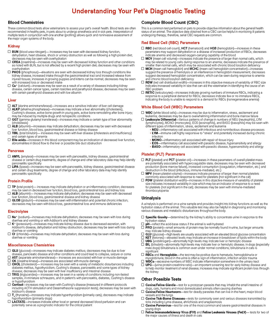understand-tests